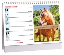 K726 - Kalendář Koně 2025
