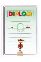 DIP 40 - Diplom A4 40