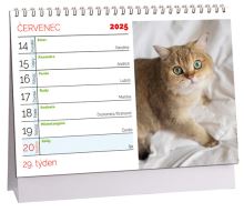 K717 - Kalendář Kočky 2025