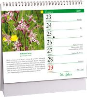 K713 - Kalendář Léčivé rostliny mini 2025