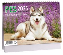 K719 - Kalendář Pes - věrný přítel  2025