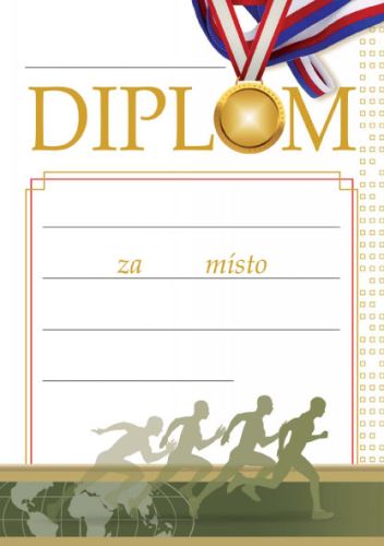 DIP 47 - Diplom A5 47